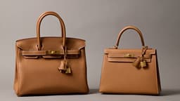 Hermes Luxury Bags