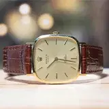 Vintage Luxury Watches
