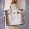Designer Bags