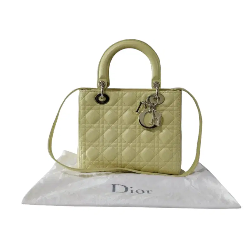 Dior Quilted Lambskin Leather Medium Lady Dior Bag
