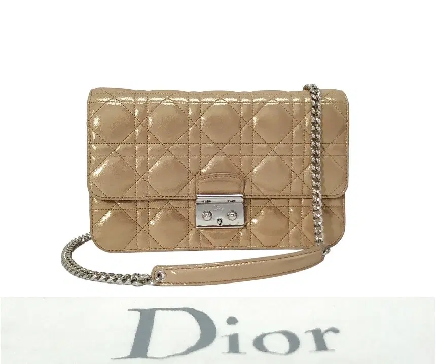 Dior Shimmer Miss Dior Promenade Bag