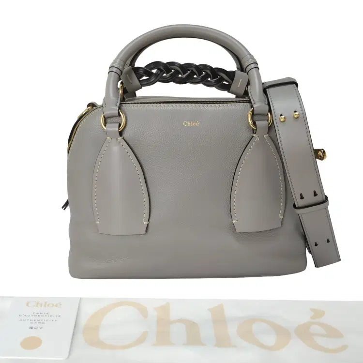 Chloe Daria Medium Leather Handbag-Hover-Image