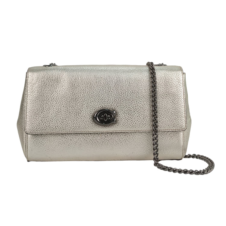 Coach Metallic Medium Cross Body Bag-Hover-Image
