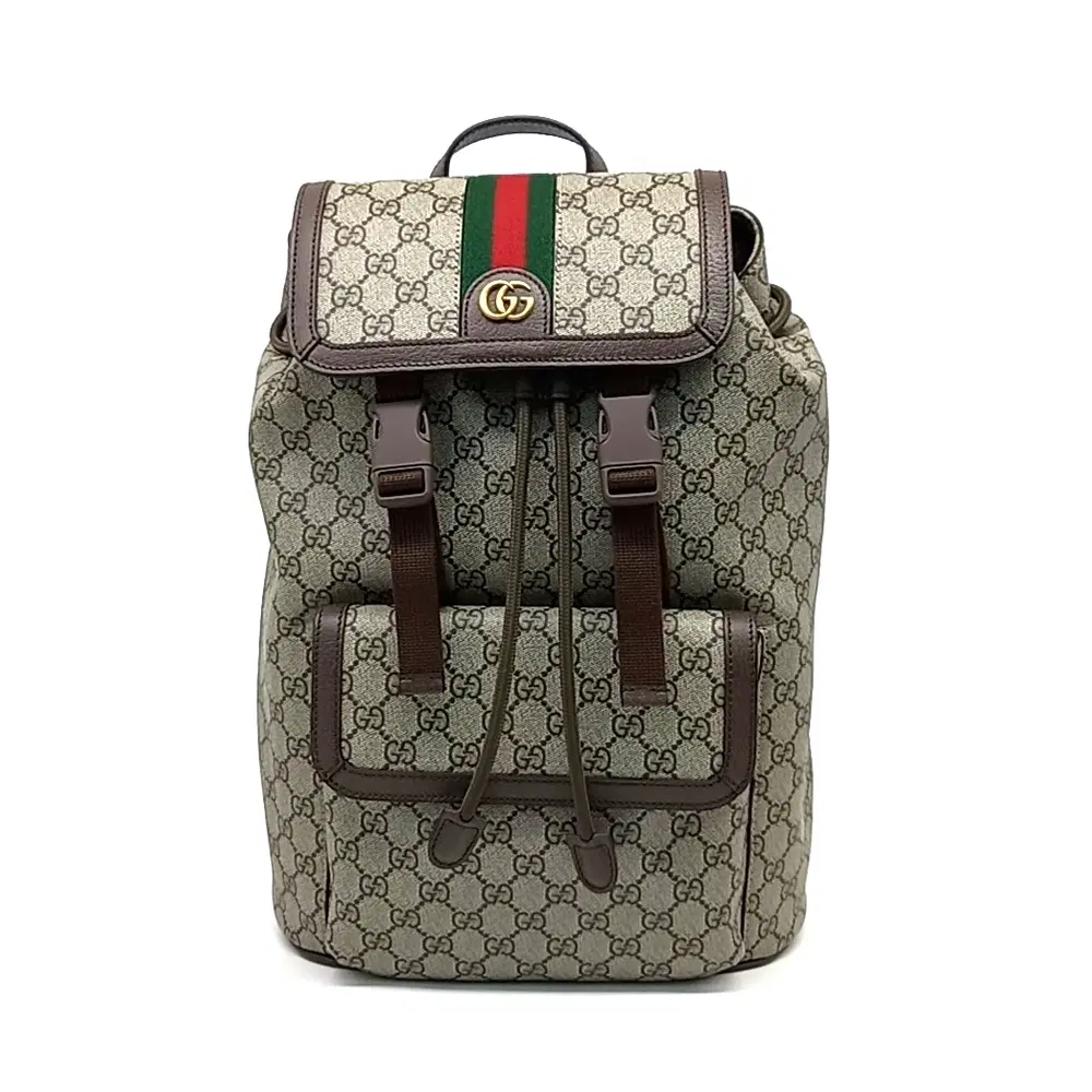 Gucci Ophidia Small Backpack (792114)