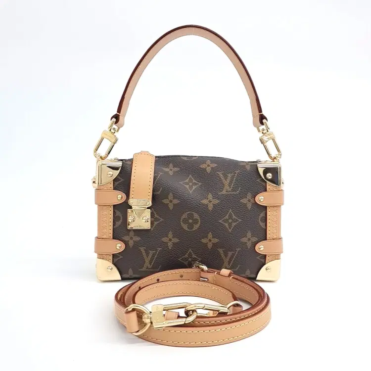Louis Vuitton Side Trunk PM M46815-Hover-Image