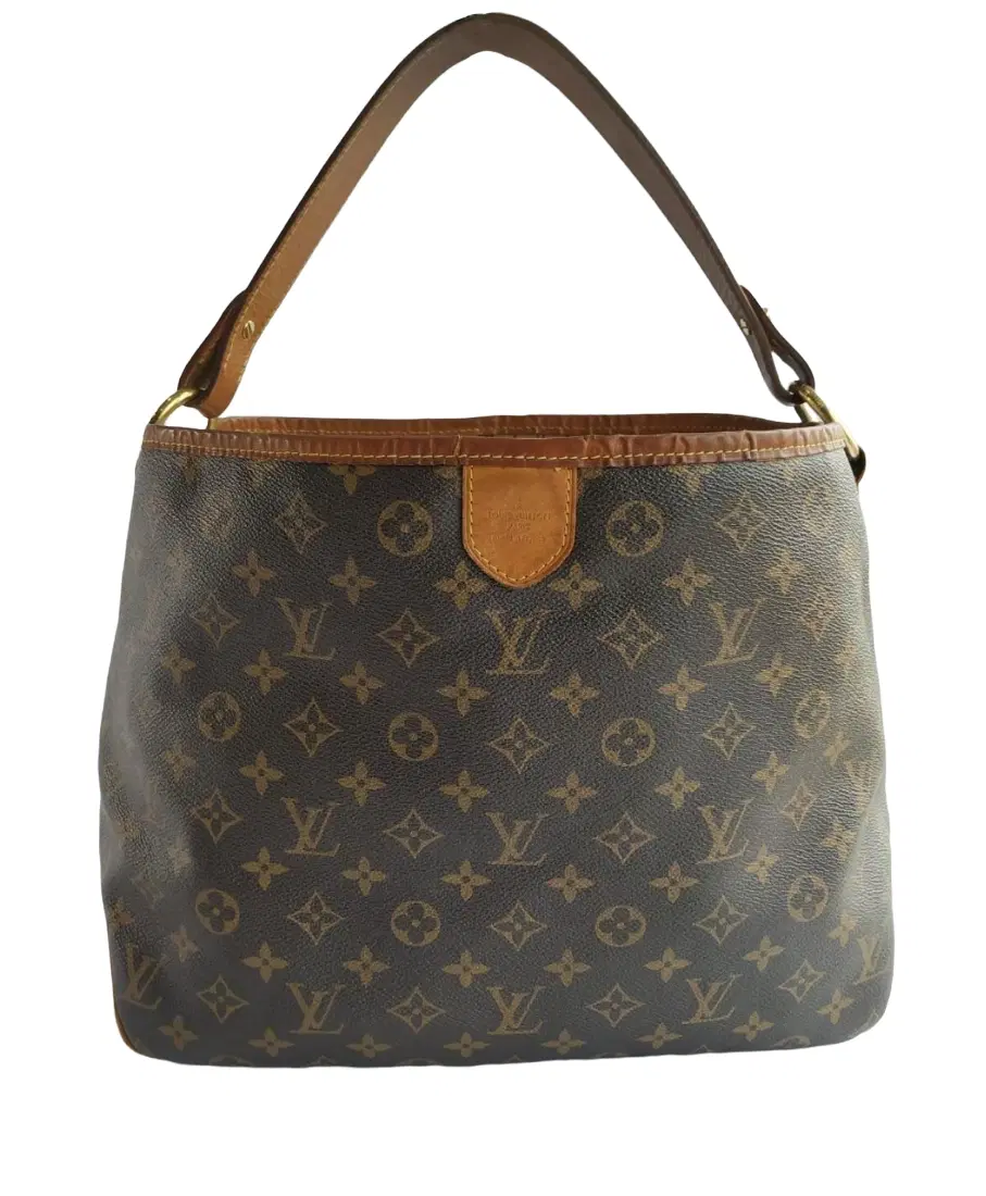 Louis Vuitton Monogram Canvas Delightful PM Bag