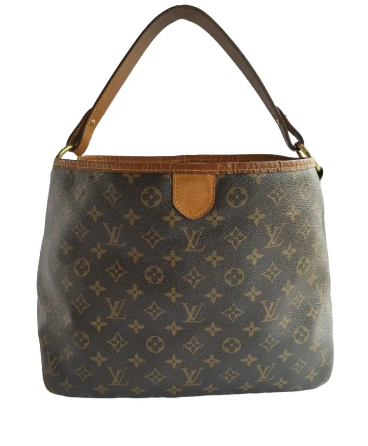 Louis Vuitton Monogram Canvas Delightful PM Bag-Hover-Image