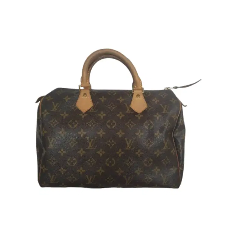 Louis Vuitton Speedy 30 Monogram Canvas Handbag-Hover-Image