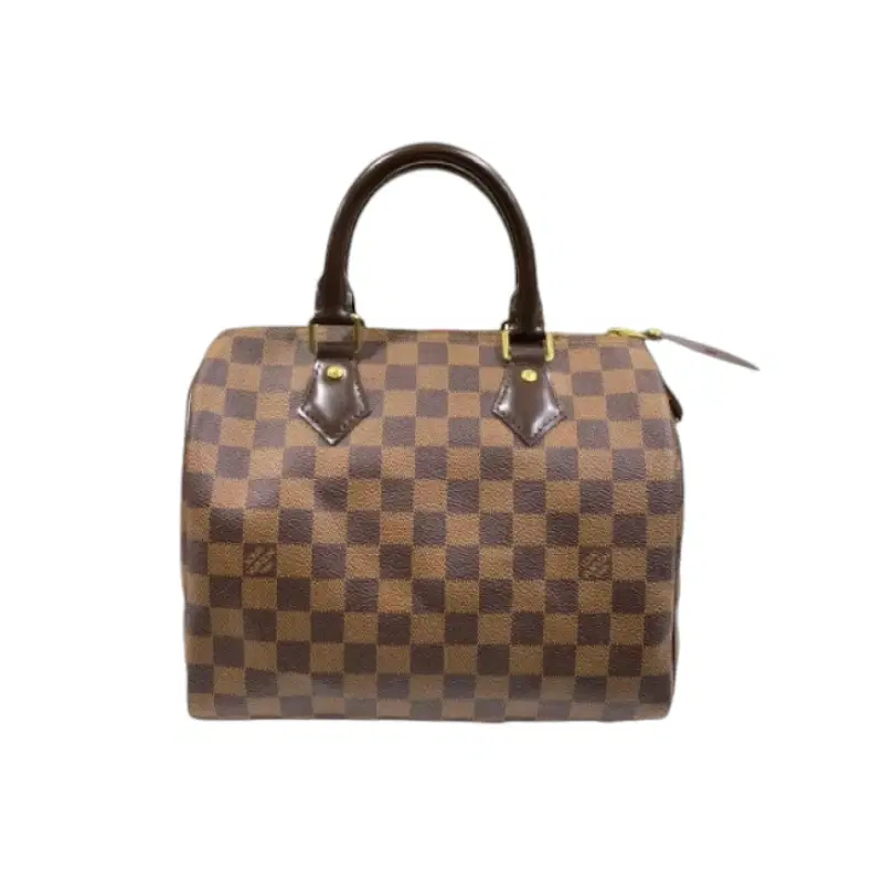 Louis Vuitton Damier Ebene Speedy 25 Bag