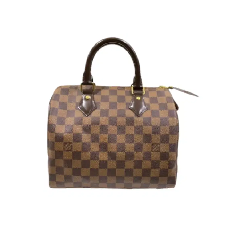 Louis Vuitton Damier Ebene Speedy 25 Bag-Hover-Image