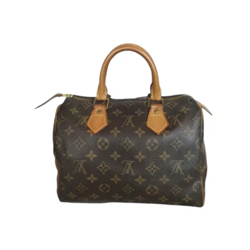 Louis Vuitton Monogram Canvas Speedy 25 Bag