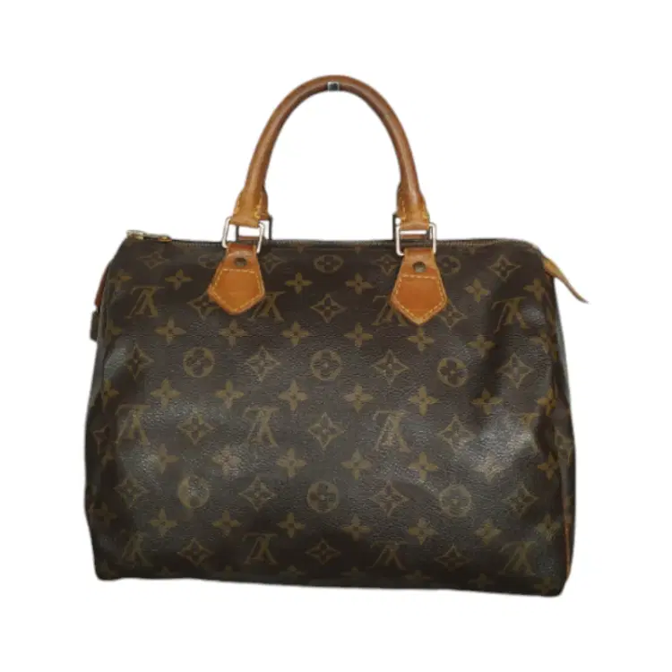 Louis Vuitton Monogram Canvas Speedy 30 Bag-Hover-Image