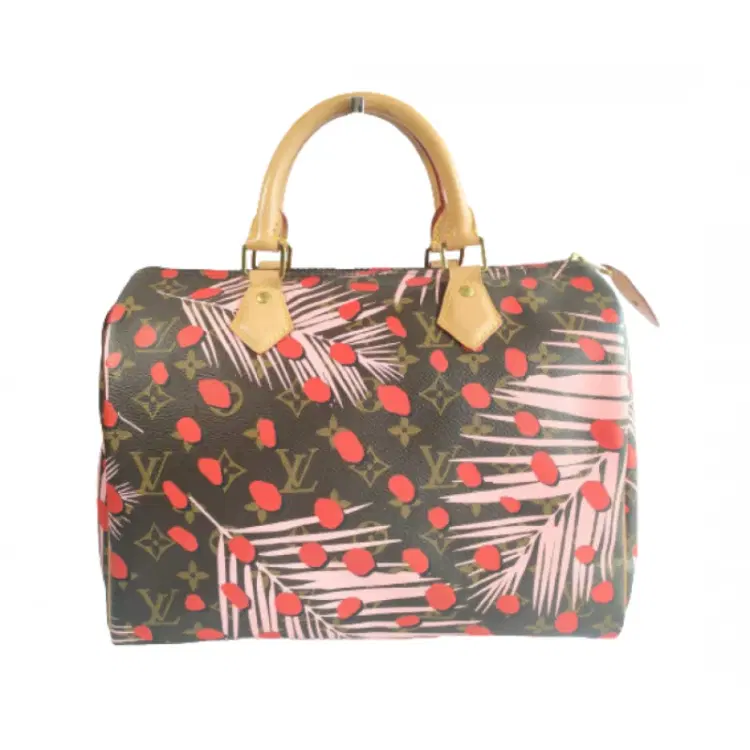 Louis Vuitton Limited Edition Monogram Canvas Jungle Dots Palm Springs Speedy 30 Bag-Hover-Image
