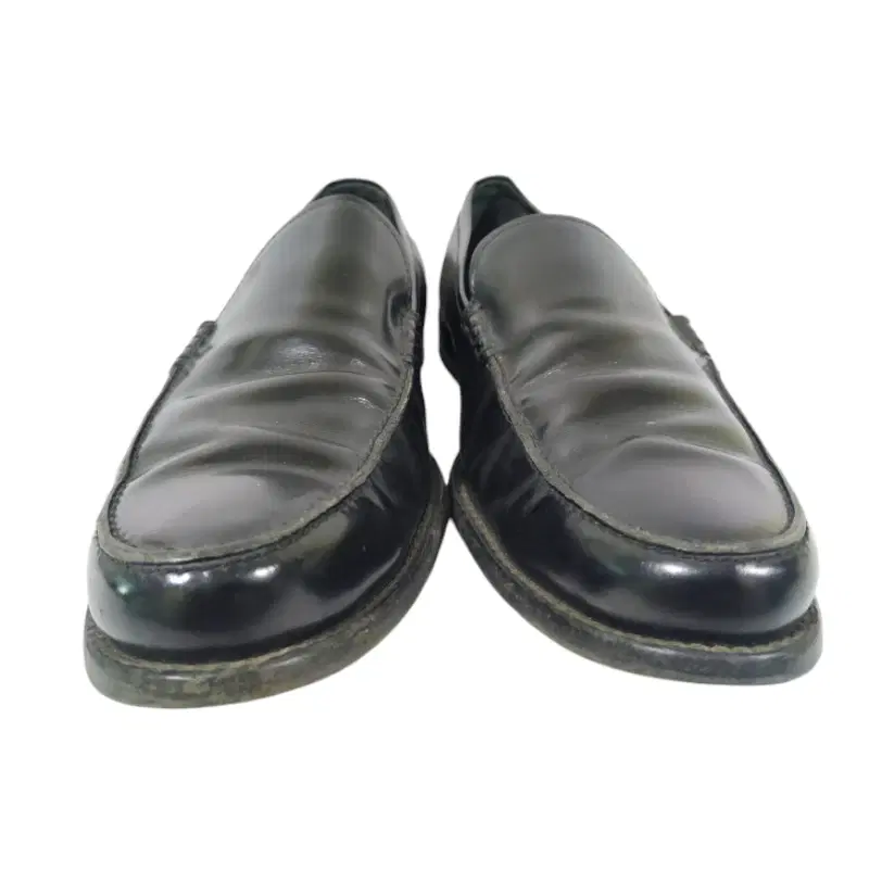 Tods Black Loafers
