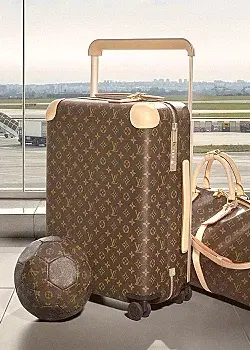 Louis Vuitton image