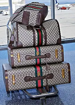 Luggage image