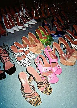 Footwear image
