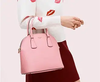SATCHEL image