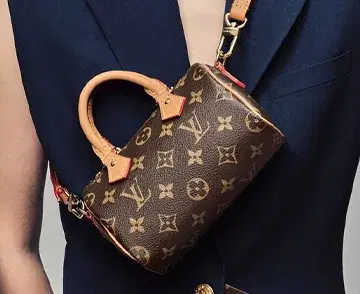 Louis Vuitton image